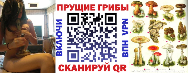 OMG зеркало Томск Псилоцибиновые грибы GOLDEN TEACHER